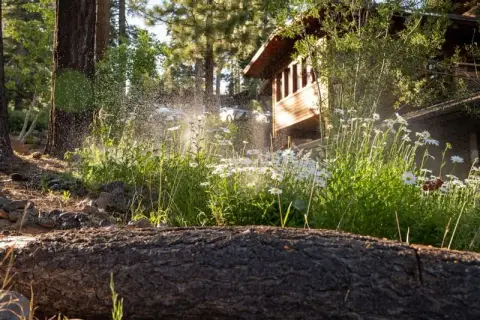 Granlibakken Tahoe — venue photo 5